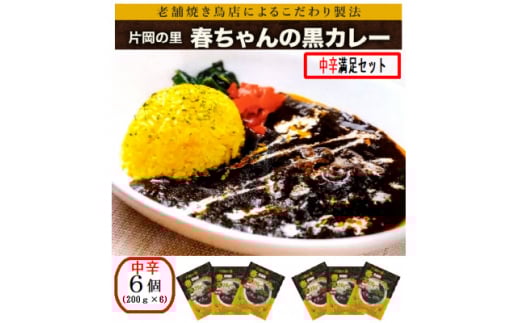 片岡の里春ちゃんの黒カレー　中辛満足セット【1466672】 2004378 - 奈良県上牧町