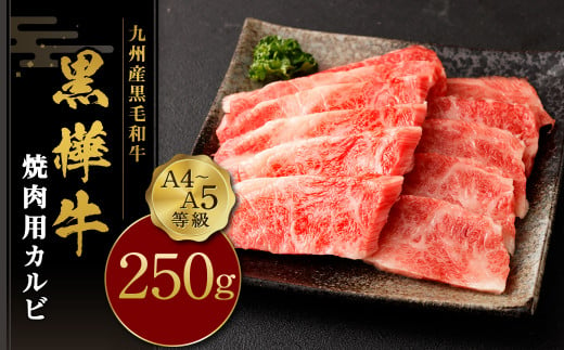 焼き肉 カルビ A4-A5等級 焼肉用カルビ 250g×1パック 牛肉 BBQ 霜降り 焼肉 焼き肉セット アウトドア 霜降り 肉 セット キャンプ おかず 和牛 牛 お肉 黒毛和牛 国産 冷凍 九州産黒毛和牛 杉本本店 黒樺牛 A4〜A5等級 焼肉用カルビ 250g