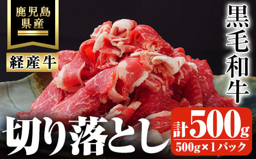 鹿児島県産黒毛和牛(経産牛) おためし切り落とし 計500g(500g×1パック) 鹿児島県産 黒毛和牛 切り落とし【ビーフ倉薗】A523