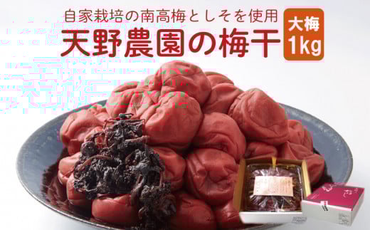 【 先行予約 】 天野農園の梅干1kg(大梅) 《 2025年10月中旬 ~ 順次出荷 》 581224 - 徳島県吉野川市