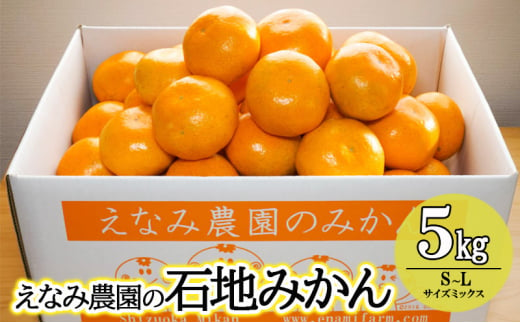 えなみ農園の石地みかん　5kg（S～Lサイズミックス） みかん ミカン 柑橘 果物 くだもの フルーツ 浜松市 静岡 [№5360-0117]