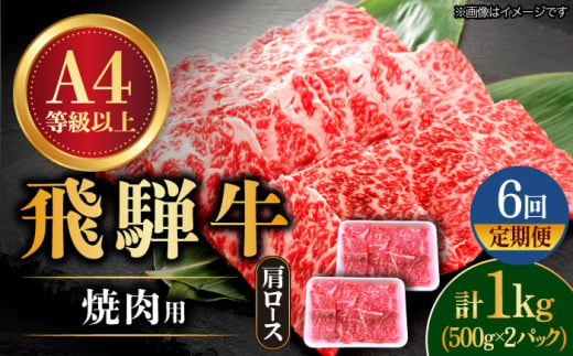 【6回定期便】 飛騨牛 焼肉用 ロース・肩ロース 1kg A4等級以上  多治見市 / 渡辺精肉店 和牛 ブランド牛 牛肉 [TAZ036] 1475929 - 岐阜県多治見市