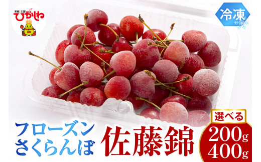 ≪内容量が選べる≫ フローズンさくらんぼ「佐藤錦」200g入[1パック・2パック] 有限会社佐藤錦提供 山形県 東根市 hi004-hi029-013r-o