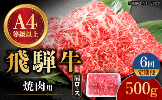 【6回定期便】 飛騨牛 焼肉用 ロース・肩ロース 500g A4等級以上  多治見市 / 渡辺精肉店 和牛 ブランド牛 牛肉 [TAZ032] 1475925 - 岐阜県多治見市