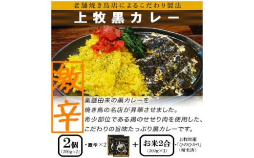 ＜ご当地カレー＞上牧黒カレー(激辛)2個+地元米(ひのひかり)2合をセット【1446988】 2004374 - 奈良県上牧町