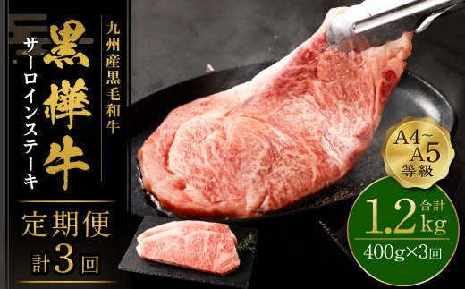 ステーキ 【3回定期便】A4-A5等級 サーロインステーキ 計1.2kg （200g×2パック）×3回 牛肉  サーロイン BBQ アウトドア キャンプ 和牛 黒毛和牛 霜降り 冷凍 九州産黒毛和牛 杉本本店 黒樺牛 