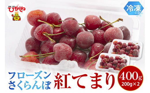 フローズンさくらんぼ「紅てまり」200g入×2P 有限会社佐藤錦提供 山形県 東根市 hi004-hi029-030 1518504 - 山形県東根市