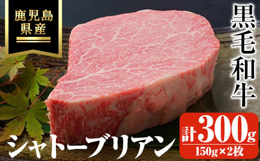 鹿児島県産黒毛和牛・シャトーブリアン 計300g(150g×2枚) 鹿児島県産 黒毛和牛 ステーキ[ビーフ倉薗]C43