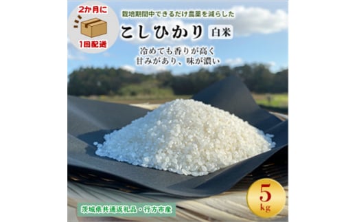 ＜2ヵ月毎定期便＞栽培期間中できるだけ農薬を減らす こしひかり白米5kg茨城共通返礼品行方産全6回【4055849】 1478140 - 茨城県潮来市