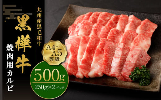 焼き肉 A4-A5等級 カルビ 500g(250g×2パック) 牛肉 九州産黒毛和牛 杉本本店 黒樺牛 焼肉用カルビ BBQ 霜降り 焼肉 アウトドア 肉 キャンプ 和牛 牛 お肉 黒毛和牛 国産 冷凍