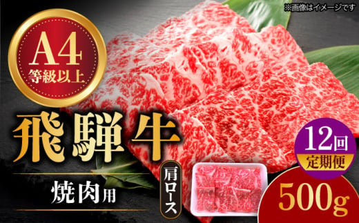 【12回定期便】 飛騨牛 焼肉用 ロース・肩ロース 500g A4等級以上  多治見市 / 渡辺精肉店 和牛 ブランド牛 牛肉 [TAZ033] 1475926 - 岐阜県多治見市