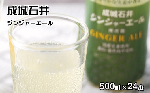 成城石井 ジンジャーエール 500ml×24本 1476446 - 神奈川県山北町