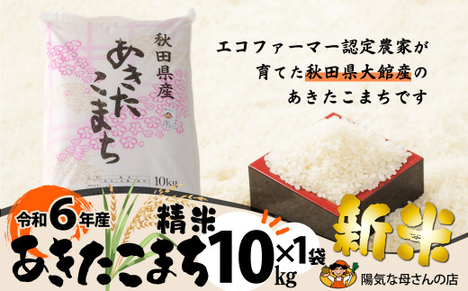 R6年産「あきたこまち精米10kg」(10kg×1袋) 95P9001