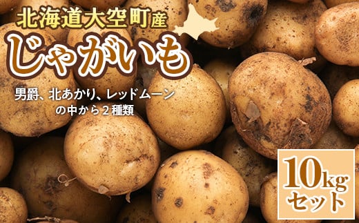 【数量限定】北海道産 じゃがいも 10kgセット 及び(込み玉、土付き) 【 ふるさと納税 人気 おすすめ ランキング じゃがいも ジャガイモ いも 芋 男爵 北あかり レッドムーン から 2種類 10kg カレー 北海道産 野菜 旬 北海道 大空町 送料無料 】 OSAA001