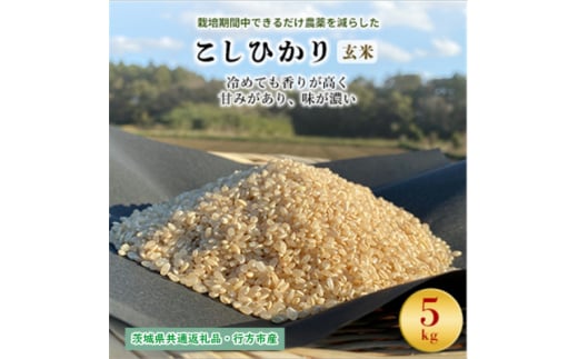 ＜毎月定期便＞栽培期間中できるだけ農薬を減らす こしひかり玄米5kg茨城共通返礼品・行方産全12回【4055846】