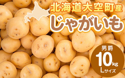 じゃがいも(男爵) Lサイズ 10kg 大空町産 【 ふるさと納税 人気 おすすめ ランキング じゃがいも ジャガイモ いも 芋 男爵 10kg L サイズ カレー 北海道産 野菜 旬 北海道 大空町 送料無料 】 OSR011 1476324 - 北海道大空町