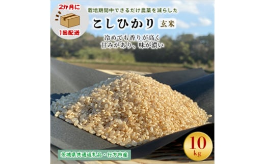 ＜2ヵ月毎定期便＞栽培期間中できるだけ農薬を減らすこしひかり玄米10kg茨城共通返礼品行方産全6回【4055839】