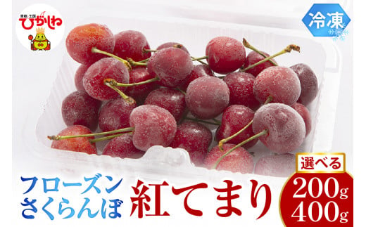 ≪内容量が選べる≫ フローズンさくらんぼ「紅てまり」200g入[1パック・2パック]有限会社佐藤錦提供 山形県 東根市 hi004-hi029-014r-o