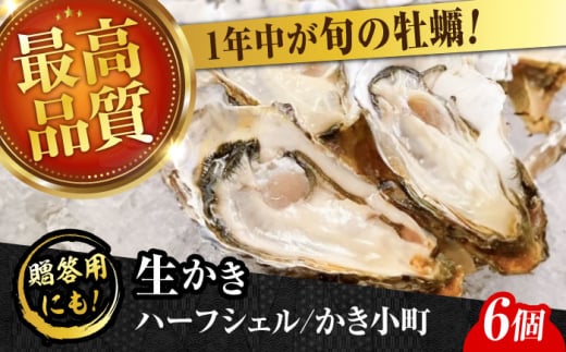 広島牡蠣の老舗！安心・安全の新鮮牡蠣【生牡蠣】牡蠣 かき 殻付き 開殻 夏のかき ハーフシェル『かき小町』6個入 生食用 魚介類 海鮮 広島県産 江田島市/株式会社かなわ [XBP011]