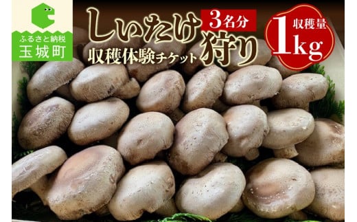 きのこ狩り　(収穫体験チケット3名分)収穫量1kg 1519838 - 三重県玉城町