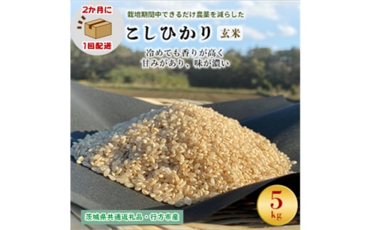 ＜2ヵ月毎定期便＞栽培期間中できるだけ農薬を減らす こしひかり玄米5kg茨城共通返礼品行方産全6回【4055850】 1478141 - 茨城県潮来市