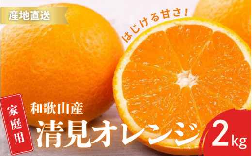 【先行予約】ご家庭用 きよみ 清見オレンジ 和歌山 有田 S～2Lサイズ 大きさお任せ 2kg【2月中旬～3月下旬頃に順次発送】/ みかん フルーツ 果物 くだもの 蜜柑 柑橘【ktn042】 1471090 - 和歌山県串本町