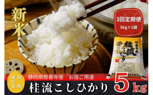 【定期便】全３回　修善寺桂流こしひかり５kg【 コシヒカリ 白米 お米 精米 国産 米 ごはん 特別栽培米 お取り寄せ 静岡県 伊豆市】030-007