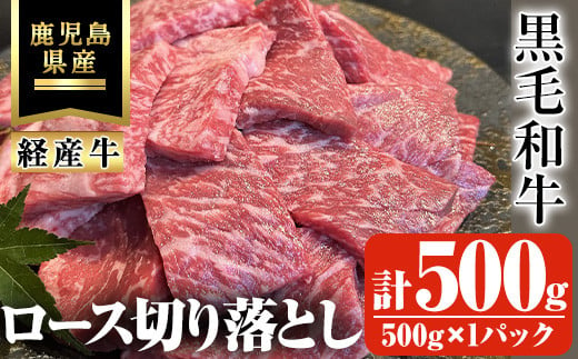 鹿児島県産黒毛和牛(経産牛)ロース不揃い大満足切り落とし焼肉 計500g(500g×1パック) 鹿児島県産 黒毛和牛 切り落とし【ビーフ倉薗】A525