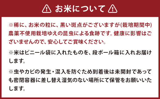 津留いちご園のお米 玄米 農薬・化学肥料不使用（栽培期間中） 6kg