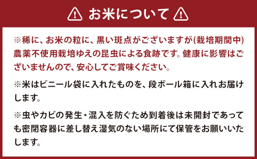 津留いちご園のお米 7分づき  農薬・化学肥料不使用（栽培期間中） 6kg