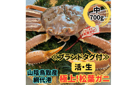 【ブランドタグ付】活！極上松葉ガニ（中）700g 鳥取網代港 鳥取 岩美 松葉がに かに ズワイガニ 冬の味覚【さかなや新鮮組】【22028】 1283360 - 鳥取県岩美町