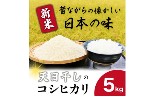 令和6年産新米コシヒカリ精米5kg 昔ながらの天日干し【1545978】 1478133 - 茨城県城里町