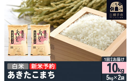 【令和6年産新米予約】【白米】横手市産 あきたこまち 10kg（5kg×2袋） 1022781 - 秋田県横手市