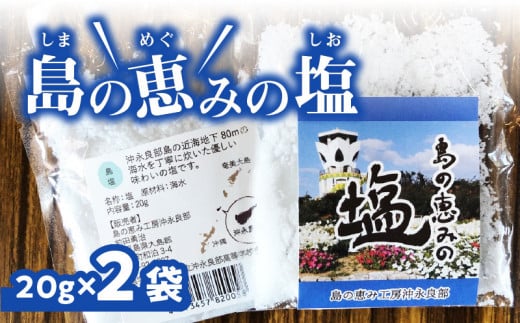 島の恵みの塩 2袋　W011-003u-02 1549522 - 鹿児島県和泊町