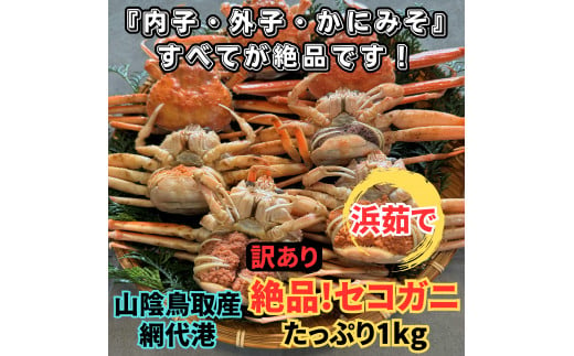 【訳あり】浜茹で！絶品セコガニ1kgセット 鳥取網代港 岩美 松葉ガニ ずわいがに かに カニ 日本海 せこがに 親がに 蟹汁【さかなや新鮮組】【22031】 1113671 - 鳥取県岩美町