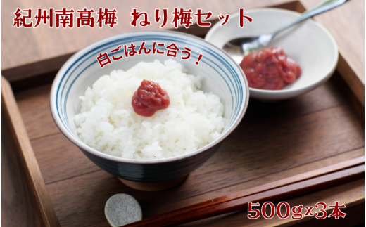 紀州南高梅 ねり梅セット （500g×3本）  / 紀州南高梅 南高梅 梅干し 梅干 梅 うめ 和歌山 田辺市 肉厚 お米 梅肉 しそ しそ風味 練り梅 練梅【nkn007-2】 924879 - 和歌山県田辺市