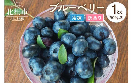 【訳あり】O-B-Iベリ―農園の冷凍ブルーベリー1kg（500g×2） 1488205 - 山梨県北杜市