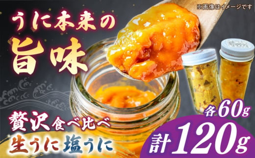 生ウニ ＆ 一汐うに 各60g 食べ比べセット《壱岐市》【馬渡水産】 冷凍配送 ウニ 新鮮 食べ比べ 小分け 贈答 プレゼント 海鮮 魚介 希少 [JAQ024] 1478529 - 長崎県壱岐市