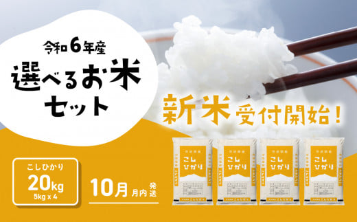 コシヒカリ 20kg (5kg×4袋) 令和6年産 新米 10月発送 先行予約 精米 白米 茨城県産 八千代町 米 人気 [SF017ya]