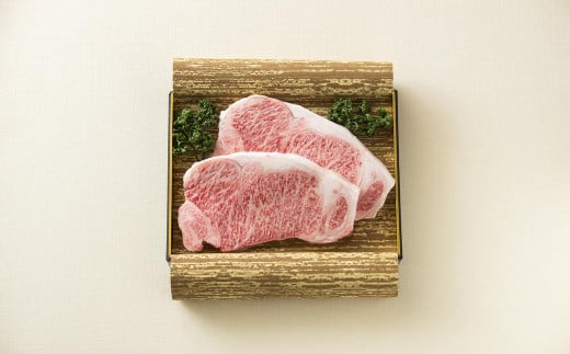 長崎和牛サーロインステーキ2枚セット 合計500g (250g×2枚) ／ 国産 ソース付き ステーキ 肉 お肉 和牛 