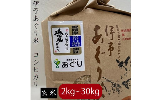 【新米】【選べるキロ数】米 玄米 2kg 伊予あぐり米「コシヒカリ」 令和6年産 米 農薬・化学肥料不使用 ｜米 玄米 令和6年産 米 お米 こめ 農薬・化学肥料不使用 こだわりのお米  愛媛県 松前町 松前 まさき 愛媛 えひめ おこめ 有限会社あぐり 愛媛県産米 松前町産米 美味しいお米 おにぎり   お米 贈答 贈り物 愛媛県 松前町 有限会社あぐり　 1477387 - 愛媛県松前町