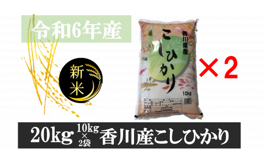 896-10　令和6年産香川県産こしひかり　10ｋｇ×2　紙袋配送　【10月配送】 783498 - 香川県三木町