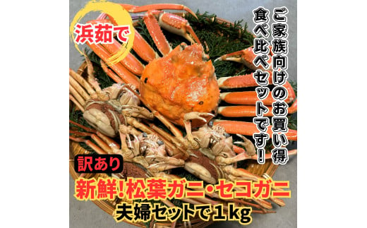 【訳あり】浜茹で！松葉ガニ・セコガニ1kgセット 鳥取網代港 岩美 松葉がに ずわいがに かに カニ 日本海 せこがに ズワイガニ【さかなや新鮮組】【22033】 1113673 - 鳥取県岩美町