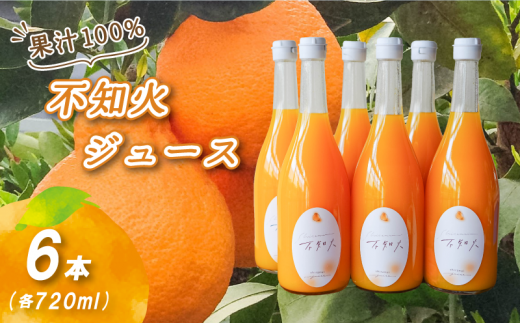 不知火ストレート果汁100％ジュース 720ml×6本 | 数量選択可 みかん ミカン 蜜柑 柑橘 数量限定 愛媛県産 松山市 中島 愛媛 ふるさと納税 1545094 - 愛媛県松山市