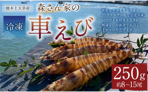 森さん家の冷凍車えび 活き〆冷凍車海老250g（約8～15尾）車海老 くるまえび 車えび 国産 天草の海 冷凍 【2024年8月上旬から2025年3月下旬発送予定】 1464088 - 熊本県上天草市