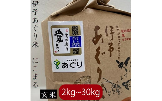 [新米][選べるキロ数]米 玄米 2〜30kg 伊予あぐり米「にこまる」 令和6年産 米 農薬・化学肥料不使用 米 玄米 令和6年産 米 お米 こめ 農薬・化学肥料不使用 こだわりのお米 愛媛県 松前町 松前 まさき 愛媛 えひめ おこめ 有限会社あぐり 愛媛県産米 松前町産米 美味しいお米 お米 贈答 贈り物 愛媛県 松前町 有限会社あぐり