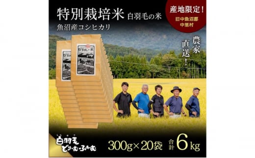 【通年受付】≪令和6年産≫　農家直送！魚沼産コシヒカリ特別栽培「白羽毛の米」精米 (300g×20袋) 6kg 1094494 - 新潟県十日町市