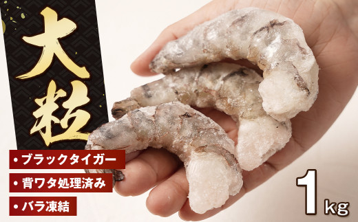 至福の大粒むきえび　背ワタ処理済 1kg　　[ムキエビ 大型 背わたなし むき海老 ブラックタイガー 下処理済み 冷凍 背ワタなし 高級]