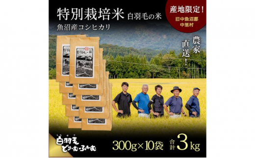 【通年受付】≪令和6年産≫　農家直送！魚沼産コシヒカリ特別栽培「白羽毛の米」精米 (300g×10袋) 3kg 1094492 - 新潟県十日町市