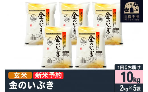 【令和6年産新米予約】【玄米】金のいぶき 10kg（2kg×5袋）新米予約 10キロ 1022800 - 秋田県横手市